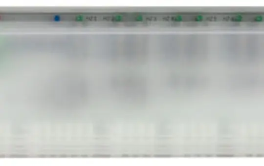 MÖHLENHOFF 130551 Basisstation Alpha 10 Zonen, Pumpen- & Boilersteuerung