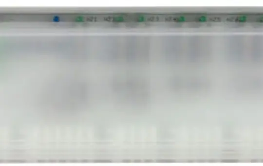 MÖHLENHOFF 130547 Basisstation Alpha 6 Zonen, Pumpen- & Boilersteuerung, Timermodul