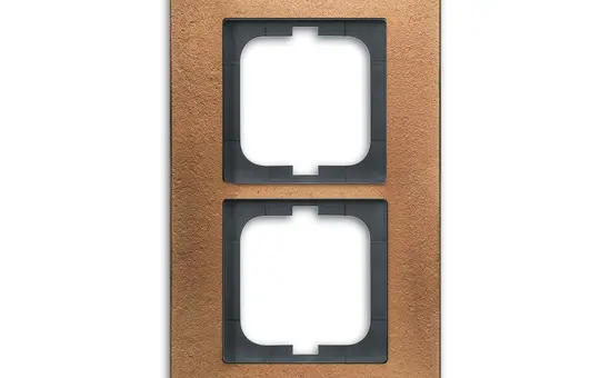 BUSCH-JAEGER 1722-821 Abdeckrahmen Carat 2-fach | bronze