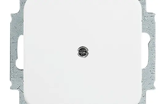 BUSCH-JAEGER 2538-214 Blindabdeckung Reflex SI Standard | alpinweiß