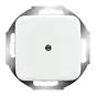 morepic-1