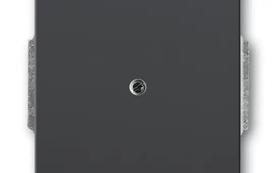 BUSCH-JAEGER 1742-81 Blindabdeckung Future Standard | anthrazit