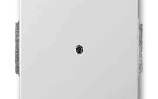 BUSCH-JAEGER 1742-866 Blindabdeckung Future Standard | edelstahl