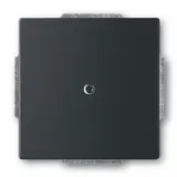 BUSCH-JAEGER 1742-885 Blindabdeckung Future Standard | schwarz matt