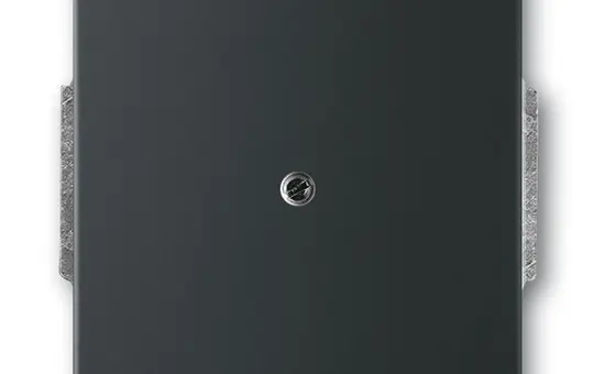 BUSCH-JAEGER 1742-885 Blindabdeckung Future Standard | schwarz matt