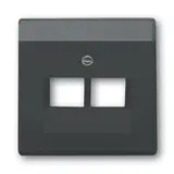 BUSCH-JAEGER 1803-02-81 Netzwerkabdeckung Future 2-fach | anthrazit