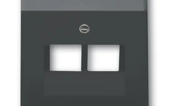 BUSCH-JAEGER 1803-02-81 Netzwerkabdeckung Future 2-fach | anthrazit
