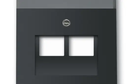 BUSCH-JAEGER 1803-02-885 Netzwerkabdeckung Future 2-fach | schwarz matt