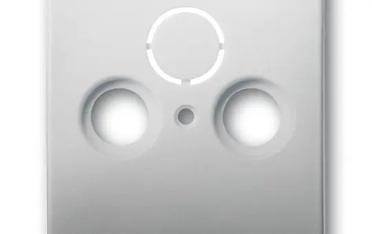 BUSCH-JAEGER 1743-866 Antennenabdeckung Future Linear 2-fach | edelstahl