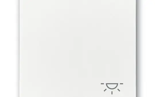 BUSCH-JAEGER 2520LI-84 beschr. Wippe Future 1-fach, Licht | studioweiß