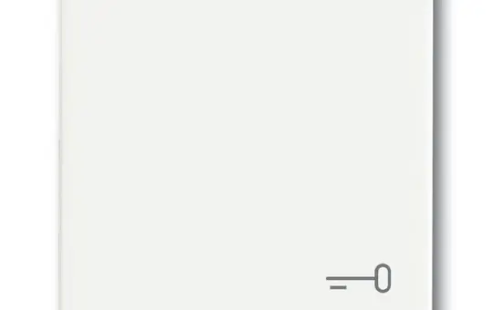 BUSCH-JAEGER 2520 TR-884 beschr. Wippe Future 1-fach, Schlüssel | studioweiß matt