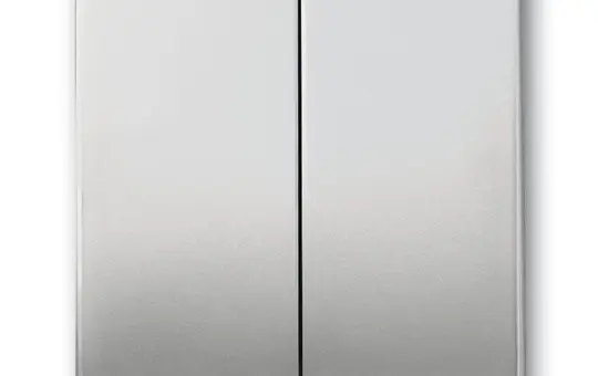 BUSCH-JAEGER 1785-866 Wippe Future 2-fach | edelstahl