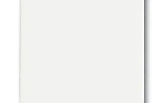 BUSCH-JAEGER 1786-884 Wippe Future 1-fach | studioweiß matt