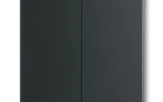 BUSCH-JAEGER 1785-885 Wippe Future 2-fach | schwarz matt