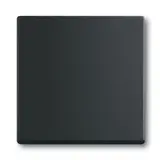 BUSCH-JAEGER 1786-885 Wippe Future 1-fach | schwarz matt