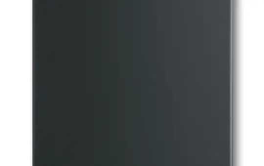 BUSCH-JAEGER 1786-885 Wippe Future 1-fach | schwarz matt