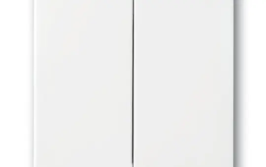 BUSCH-JAEGER 1785-84 Wippe Future 2-fach | studioweiß