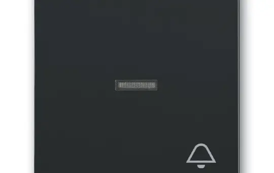 BUSCH-JAEGER 1789KI-81 beschr. Kontrollwippe Future 1-fach, Glocke, Fenster, transparent | anthrazit