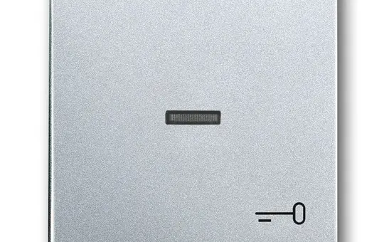 BUSCH-JAEGER 1789 TR-83 beschr. Kontrollwippe Future 1-fach, Schlüssel, Fenster, transparent | alusilber