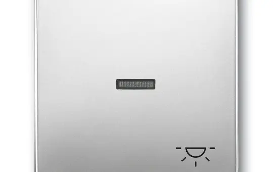 BUSCH-JAEGER 1789LI-866 beschr. Kontrollwippe Future 1-fach, Licht, Fenster, transparent | edelstahl