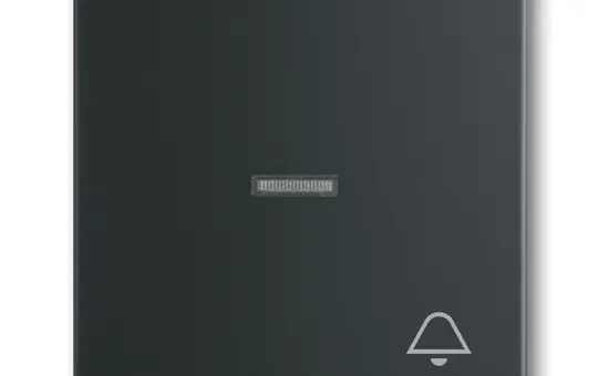 BUSCH-JAEGER 1789KI-885 beschr. Kontrollwippe Future 1-fach, Glocke, Fenster, transparent | schwarz matt