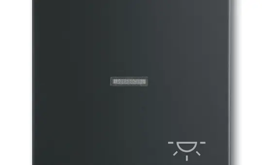 BUSCH-JAEGER 1789LI-885 beschr. Kontrollwippe Future 1-fach, Licht, Fenster, transparent | schwarz matt