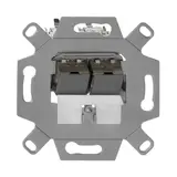 RUTENBECK 139104071 Netzwerkdose 2-fach, Cat. 6a, m. Modulen | metall