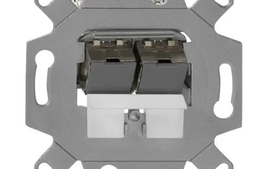 RUTENBECK 139104071 Netzwerkdose 2-fach, Cat. 6a, m. Modulen | metall