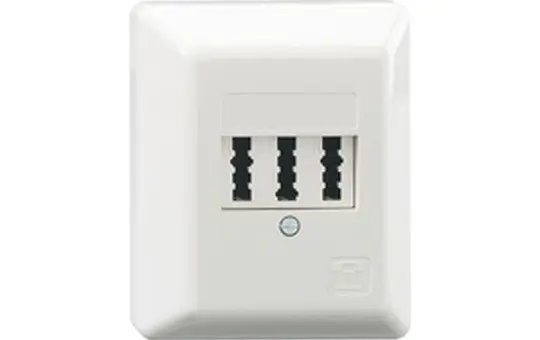 RUTENBECK 10210109 TAE-Anschlussdose NFN Aufputz | reinweiß