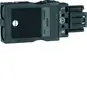 morepic-1