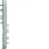 HAGER GV1207035 tehalit Blendenzwischenstück anreihbar 120 mm, Kunststoff halogenfrei | lichtgrau