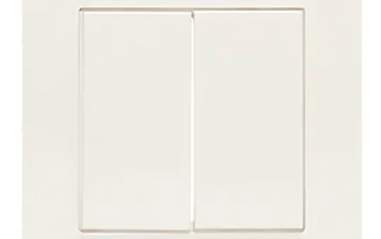 LINGG&JANKE 87875-RW Wippe für Tastsensor 2-fach | reinweiß glänzend