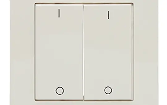 LINGG&JANKE 87876-RW Wippe für Tastsensor 2-fach, IO | reinweiß glänzend