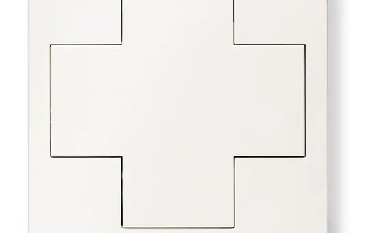 LUNATONE 86459793-W-2-int DALI-2 Switch Cross Instanzen aktiviert | reinweiß