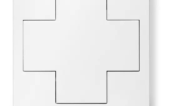 LUNATONE 86459793-W16-2-app DALI-2 Switch Cross App-Controller aktiviert | verkehrsweiß