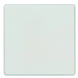 SIEMENS 5TG6201 Wippe DELTA i-system 1-fach | titanweiß