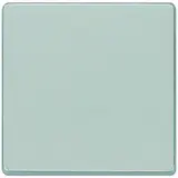 SIEMENS 5TG6241 Wippe DELTA i-system 1-fach | aluminiummetallic