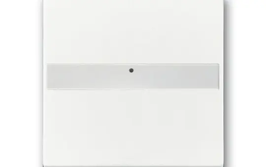 BUSCH-JAEGER beschr. Wippe Future 