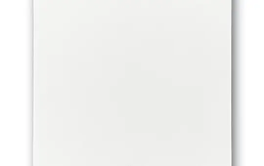 BUSCH-JAEGER Wippe Future 