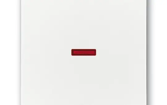 BUSCH-JAEGER Kontrollwippe Future 