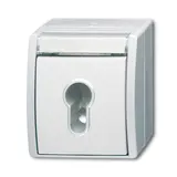 BUSCH-JAEGER Schlüsselschalter Ocean 