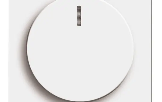 BUSCH-JAEGER Drehdimmerabdeckung Future 