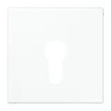 JUNG Abdeckung für Schlüsselschalter Serie LS 