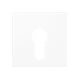 JUNG Abdeckung für Schlüsselschalter Serie A 