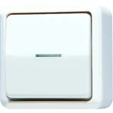 JUNG Wipp-Kontrollschalter Serie AP 600 