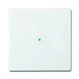 BUSCH-JAEGER Wippe flex Future 