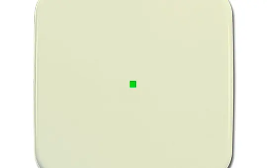 BUSCH-JAEGER Wippe flex Duro 2000 