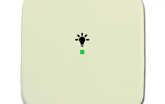 BUSCH-JAEGER beschr. Wippe flex Duro 2000 