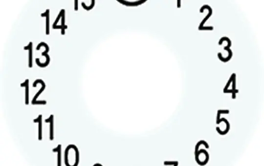 JUNG Skalenscheibe für Schaltuhr 