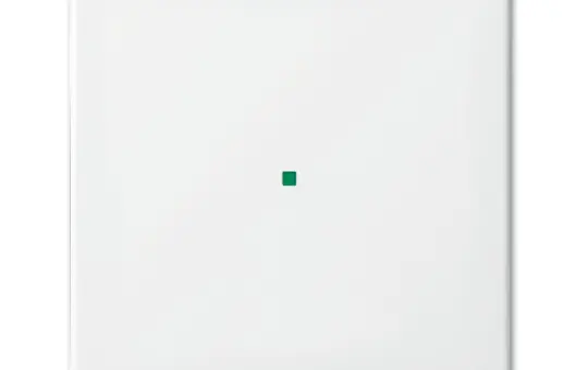 BUSCH-JAEGER Wippe flex Balance SI 